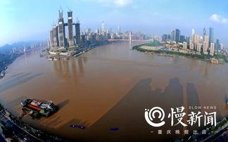 重庆洪水最新爆料信息网,紧急救援与灾情实时追踪